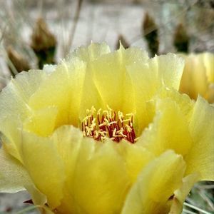 Meet your Posher, Jackieandjoe